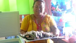 मेलम्ची, इन्द्रावतीमा पाइन थाले माछा